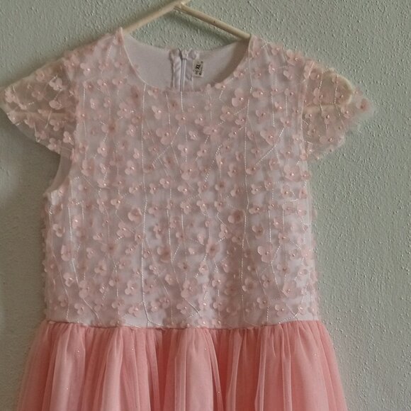Light pink tulle dress with flower applique - size 10/12 - Picture 1 of 3